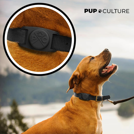 Airtag Dog Collar - Durable Tracker Holder for Pets | Keep Your Dog and Cat Safe with Apple Airtag Technology