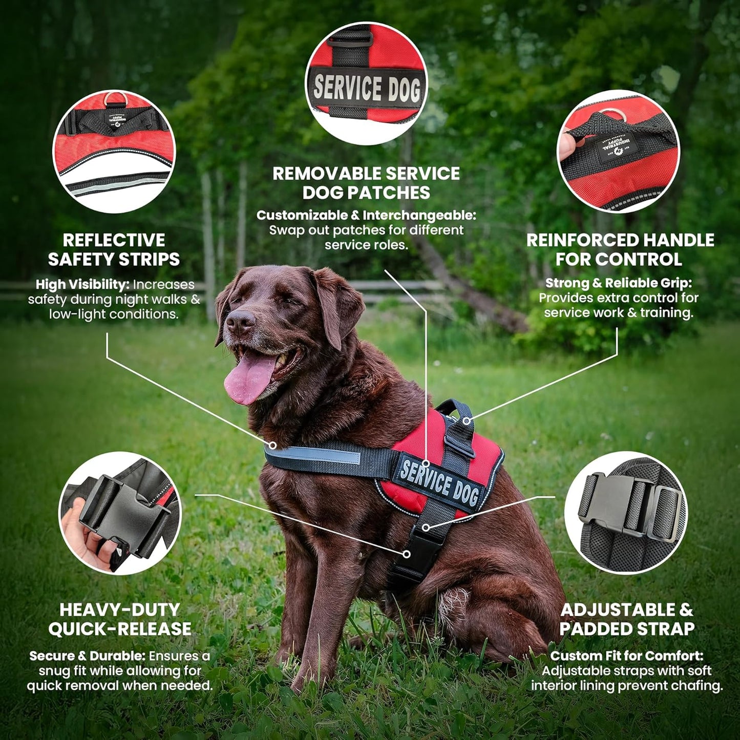 Ultimate Service Dog Vest with Handle - No Pull Harness for Large Breeds, Reflective Straps & Removable Patches - Perfect for Training!