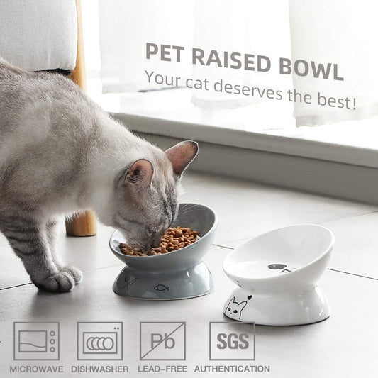 Elevated Ceramic Cat Bowls for Food & Water - Slanted Design for Spine Protection & Stress-Free Eating (Grey)