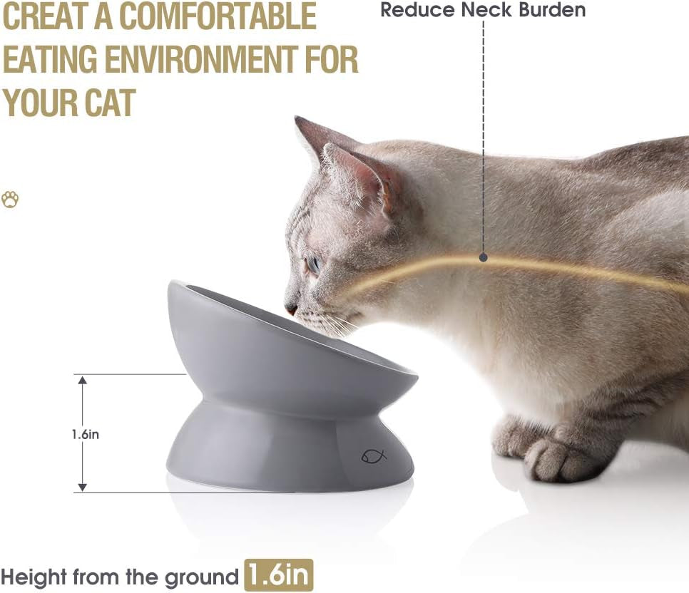 Elevated Ceramic Cat Bowls for Food & Water - Slanted Design for Spine Protection & Stress-Free Eating (Grey)