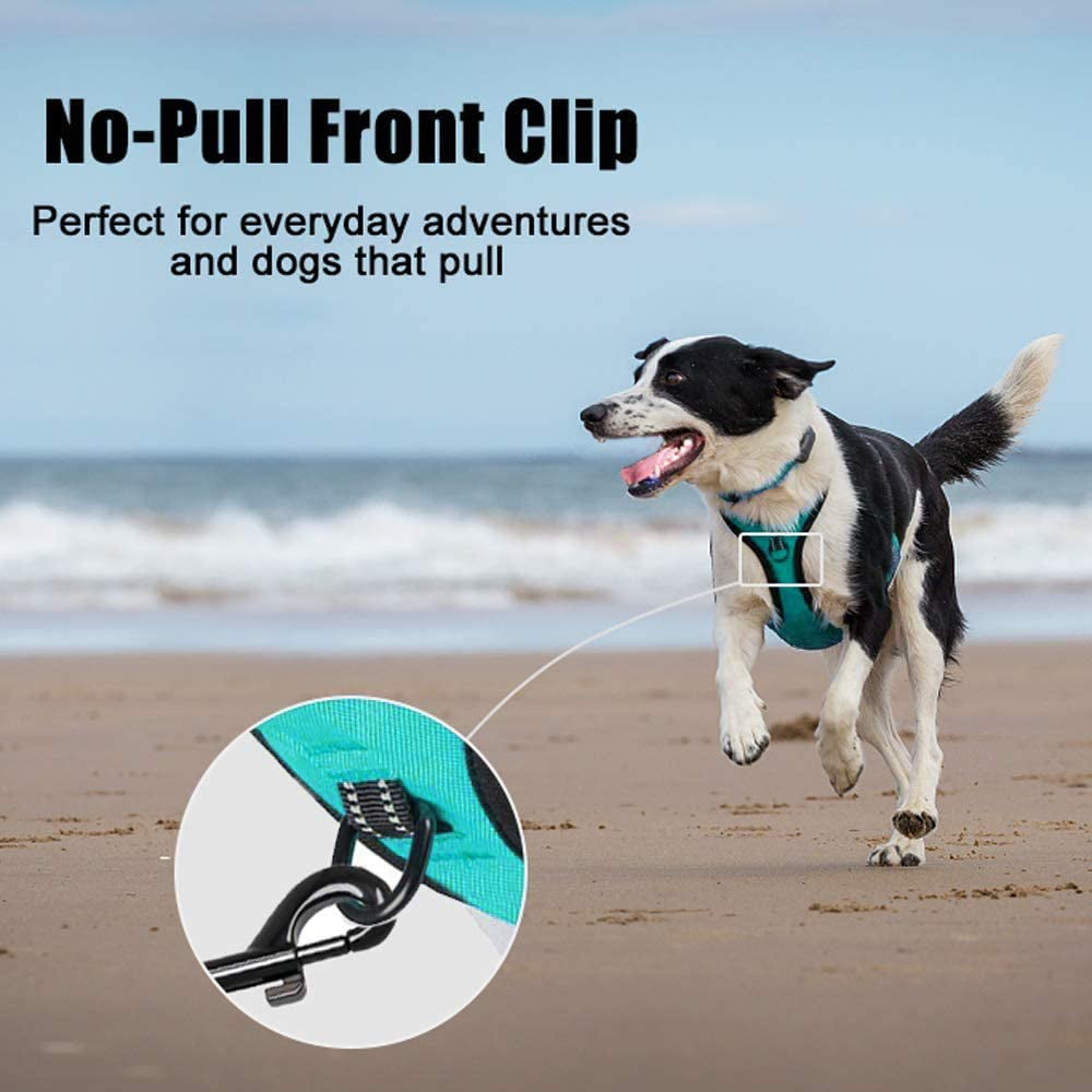 Revolutionary No Pull Dog Harness - Reflective Comfort Vest with Dual Leash Attachments & Easy Control Handle - Adjustable Soft Padded Design for Small to Large Dogs (Mint Blue, M)