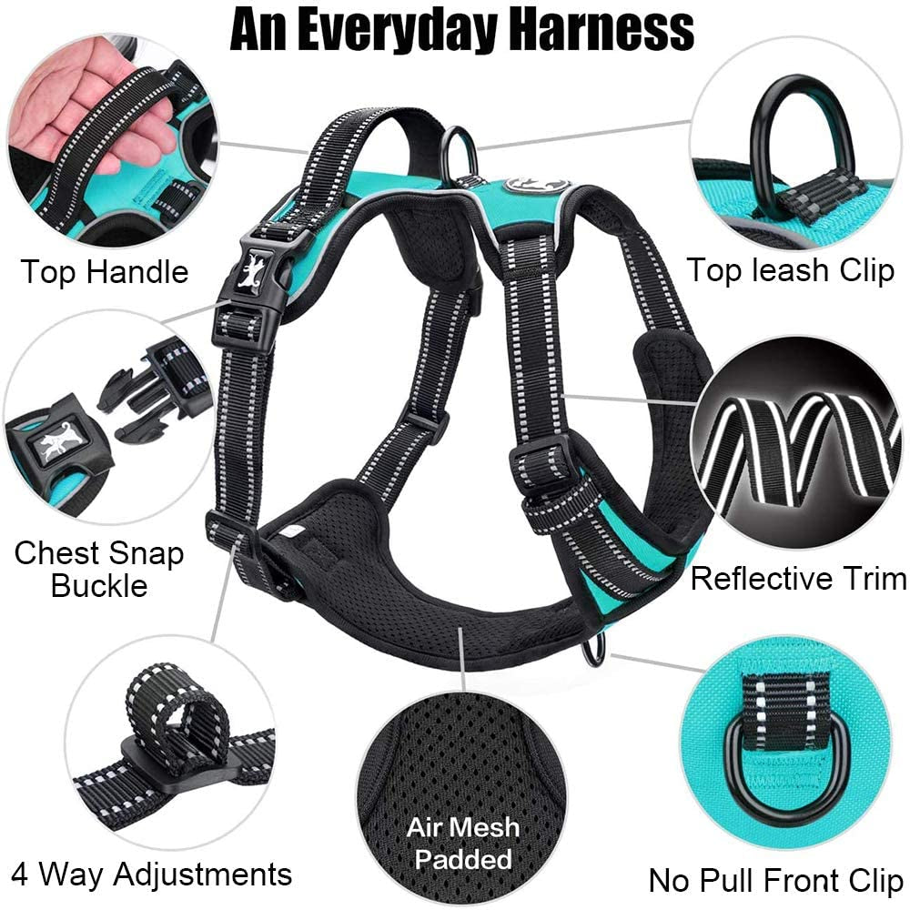 Revolutionary No Pull Dog Harness - Reflective Comfort Vest with Dual Leash Attachments & Easy Control Handle - Adjustable Soft Padded Design for Small to Large Dogs (Mint Blue, M)