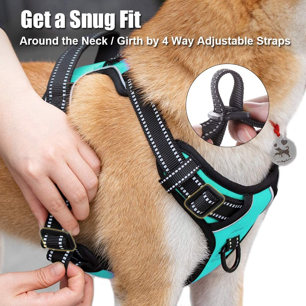 Revolutionary No Pull Dog Harness - Reflective Comfort Vest with Dual Leash Attachments & Easy Control Handle - Adjustable Soft Padded Design for Small to Large Dogs (Mint Blue, M)