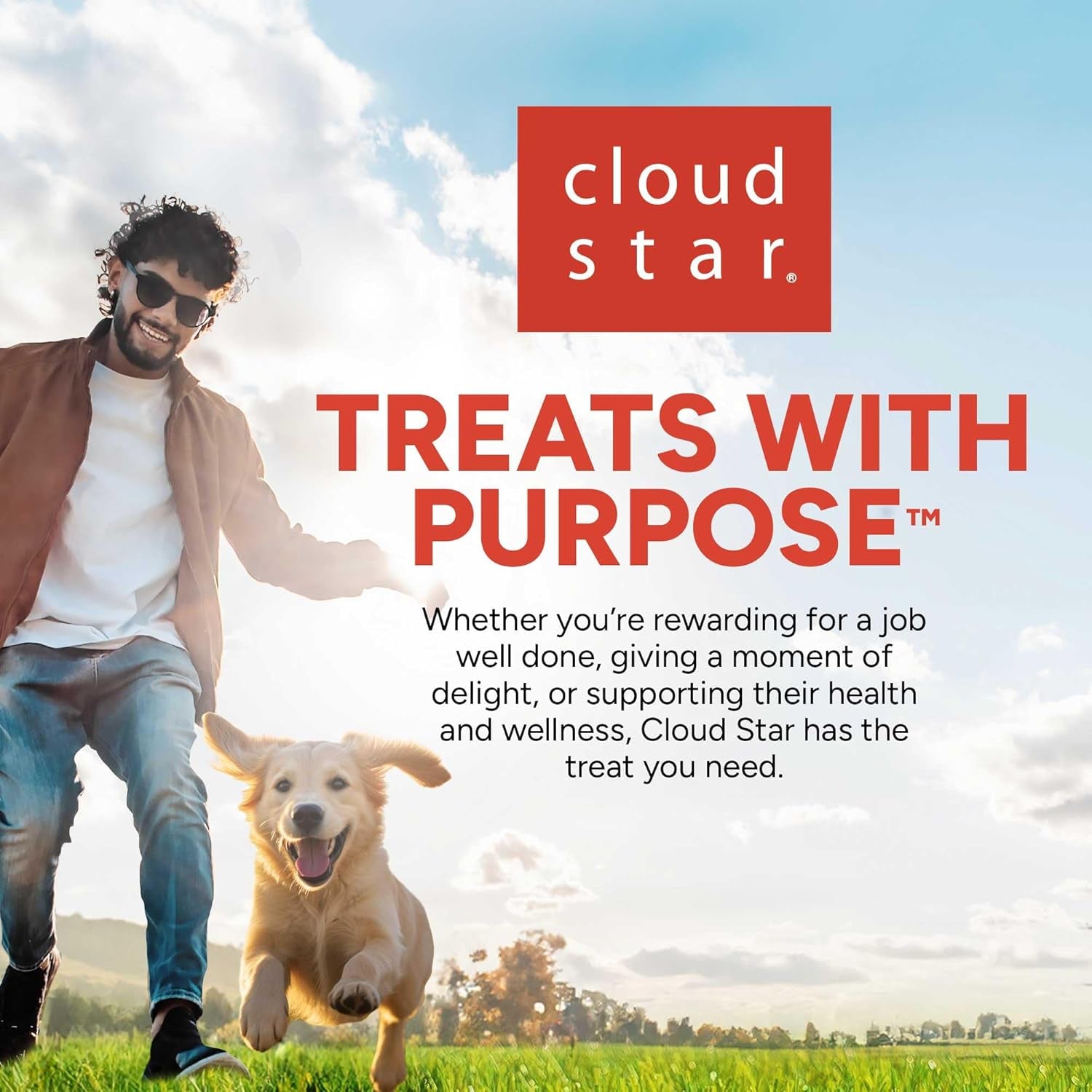 Premium Chicken Flavor Training Treats - 10 Oz Pouch with 500 Soft & Chewy Rewards, Favored by Top Trainers!