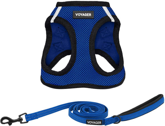Voyager All-Weather Mesh Dog Harness & Reflective 5 Ft Leash Combo - Neoprene Handle, Perfect for Small to Large Breeds - Blue, XX-Small