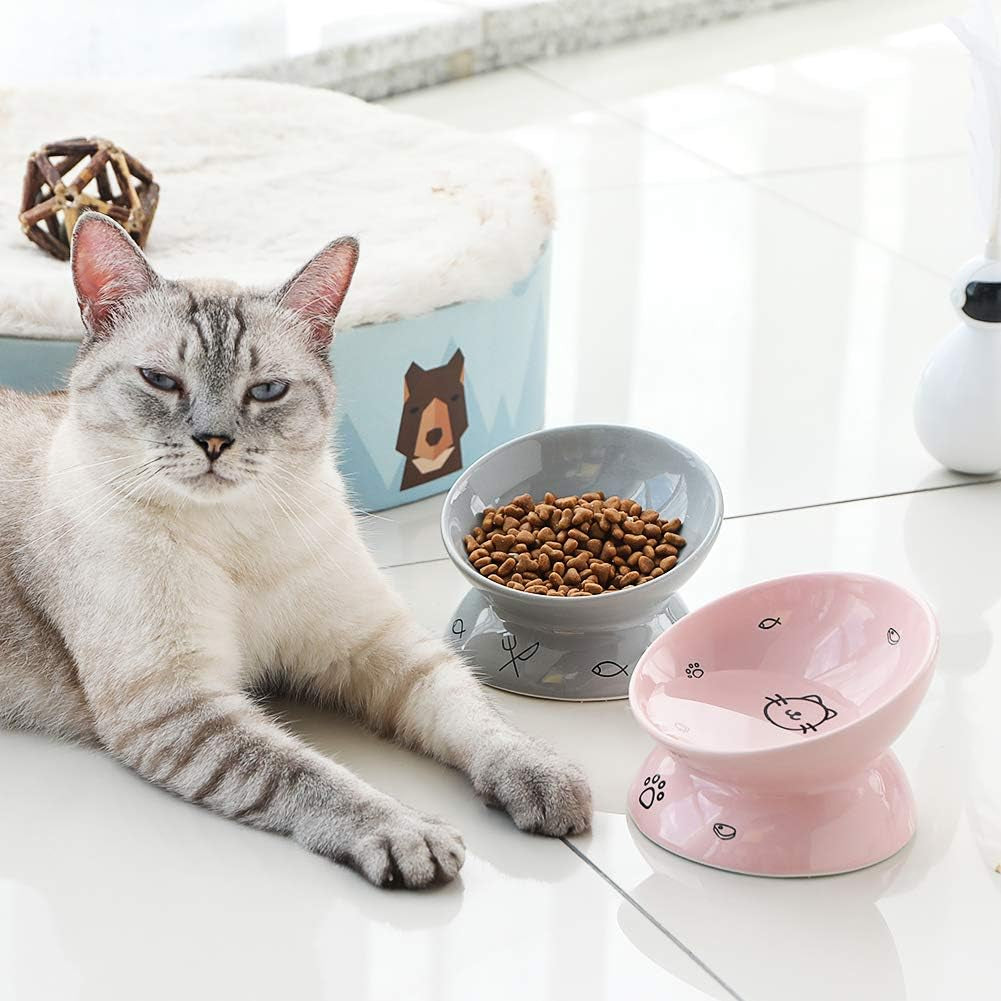 Elevated Ceramic Cat Bowls for Food & Water - Slanted Design for Spine Protection & Stress-Free Eating (Grey)