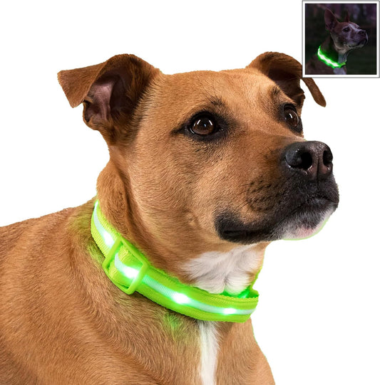 Illuminate Your Dog's Safety: Original USB Rechargeable LED Collar - Waterproof & Visible Up to 1,000 Feet - Perfect for All Dog Sizes - USA Brand
