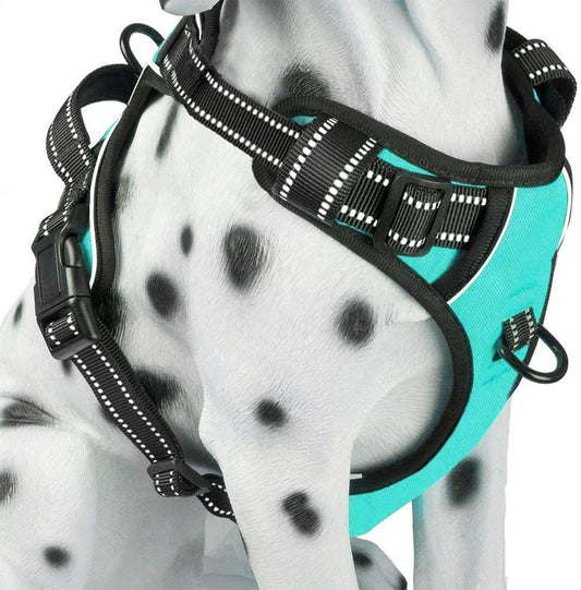 Revolutionary No Pull Dog Harness - Reflective Comfort Vest with Dual Leash Attachments & Easy Control Handle - Adjustable Soft Padded Design for Small to Large Dogs (Mint Blue, M)