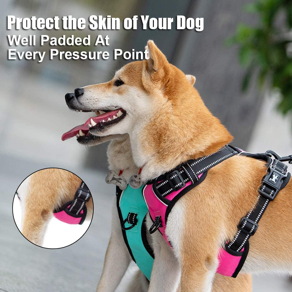 Revolutionary No Pull Dog Harness - Reflective Comfort Vest with Dual Leash Attachments & Easy Control Handle - Adjustable Soft Padded Design for Small to Large Dogs (Mint Blue, M)
