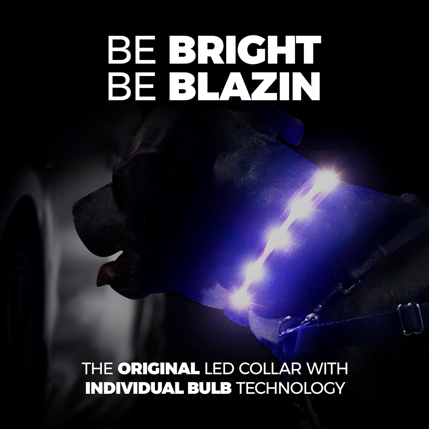Illuminate Your Dog's Safety: Original USB Rechargeable LED Collar - Waterproof & Visible Up to 1,000 Feet - Perfect for All Dog Sizes - USA Brand