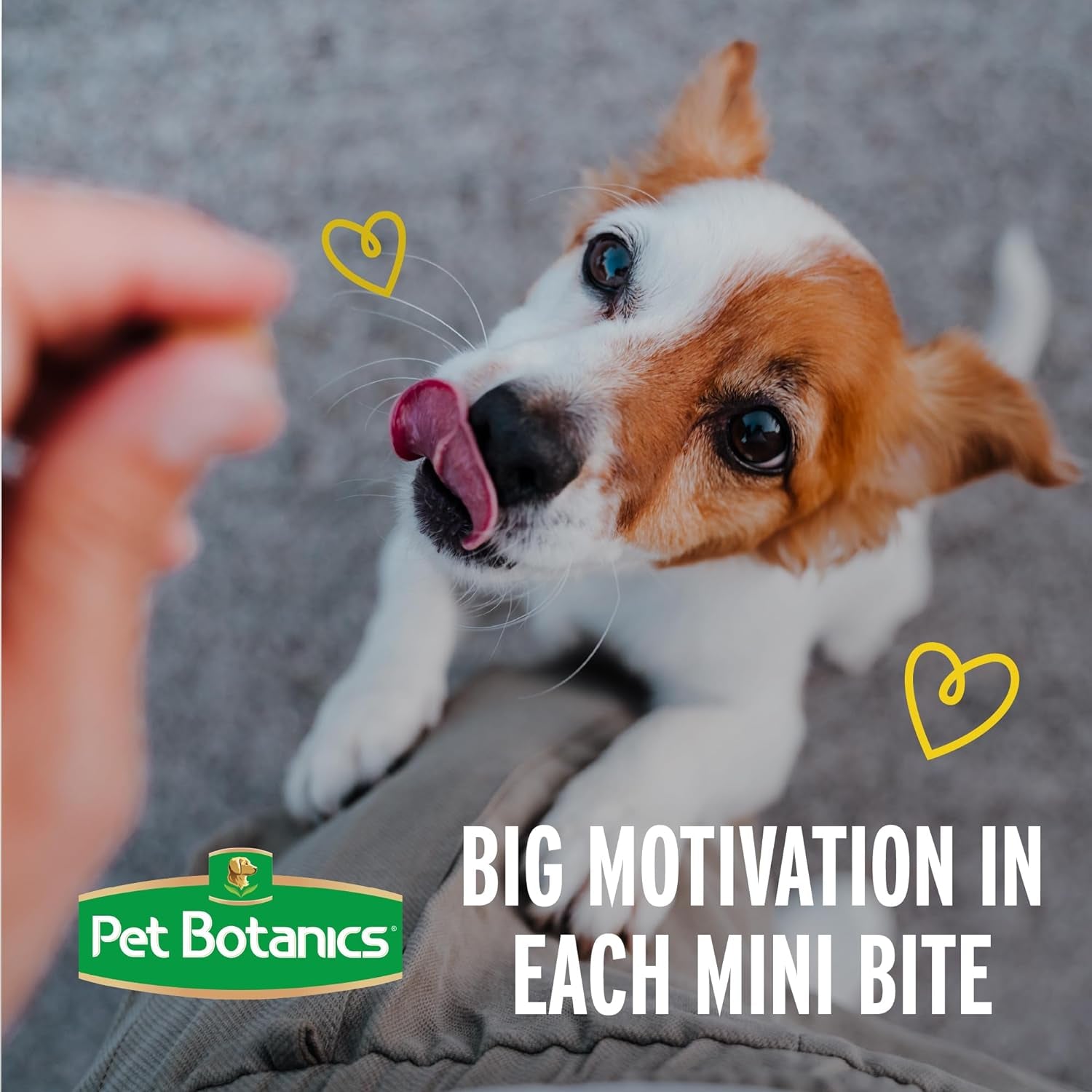 Premium Chicken Flavor Training Treats - 10 Oz Pouch with 500 Soft & Chewy Rewards, Favored by Top Trainers!