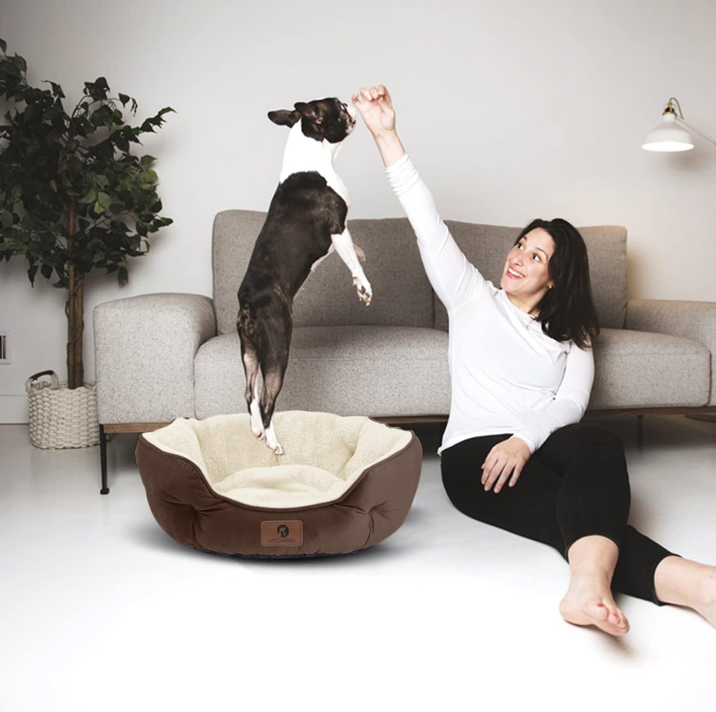 Cozy & Stylish Small Dog Bed - Perfect for Cats and Puppies, Ultra Soft, Machine Washable, Anti-Slip & Water-Resistant, 20 Inches, Brown